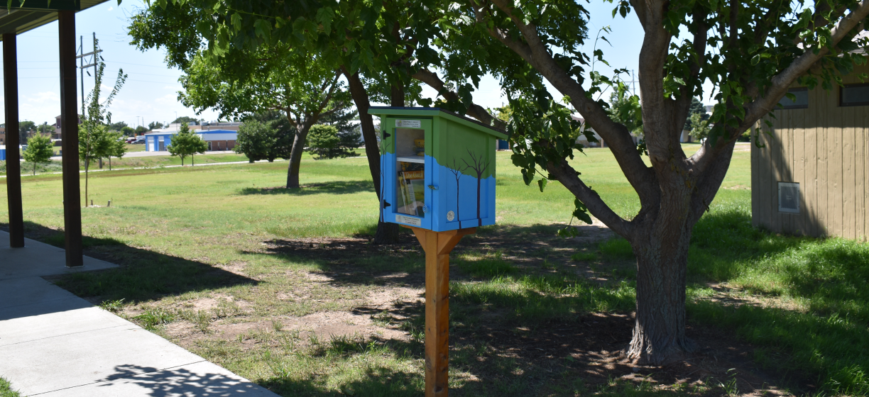 Little Free Library in Ekey Park